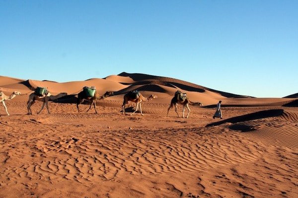2-Day Desert Tour from Marrakech to Zagora